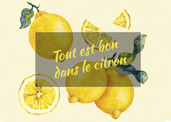 Les bienfaits de l’huile essentielle citron bio