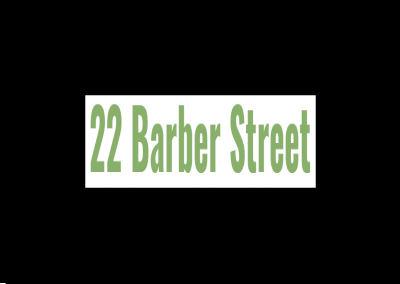 22 Barber Street